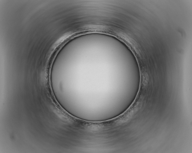 X0000112181074200908071321