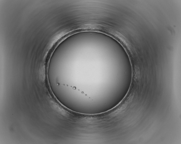 X0000112181075200908071321