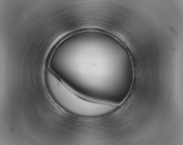 X0000112181076200908071321