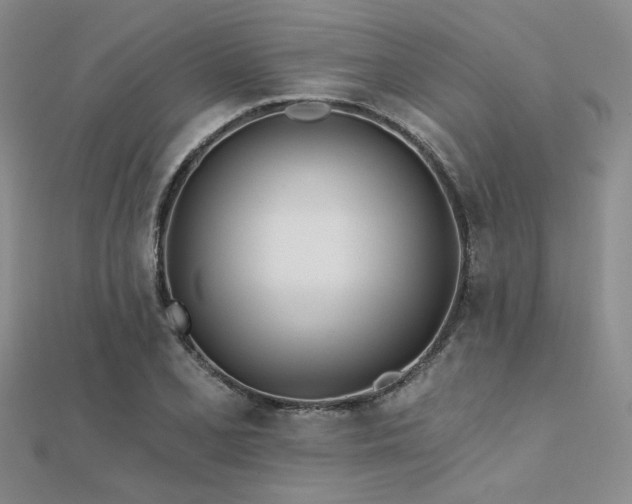 X0000112181077200908071321