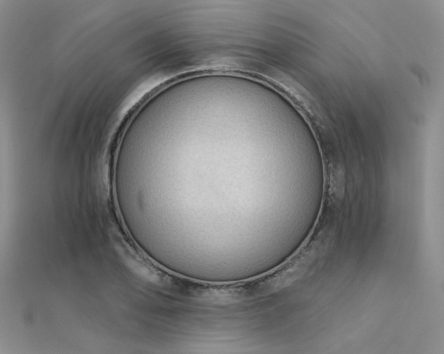 X0000112181078200908071321