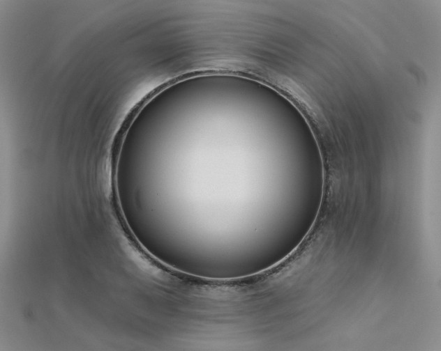 X0000112181079200908071321