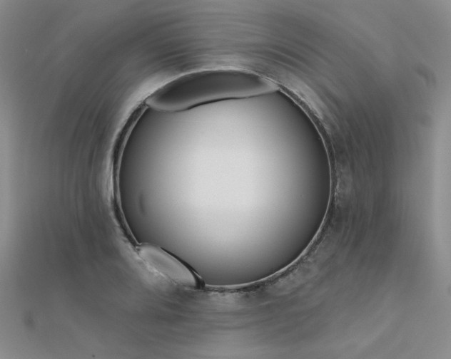 X0000112181080200908071321