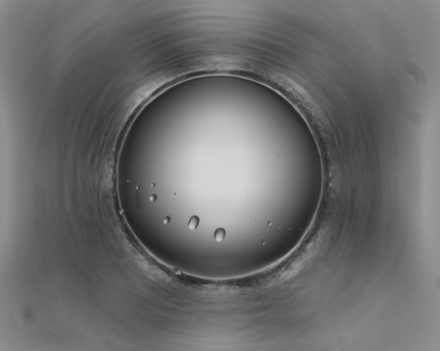 X0000112181081200908071321