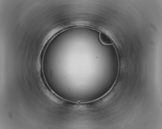 X0000112181082200908071321