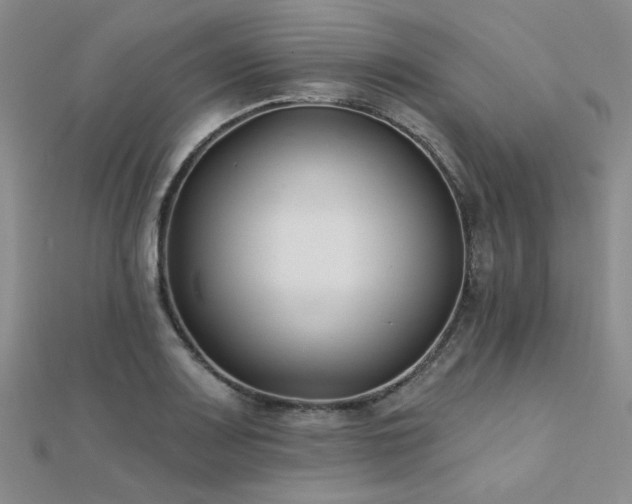 X0000112181083200908071321