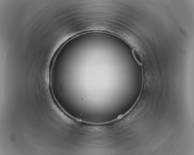 X0000112181084200908071321