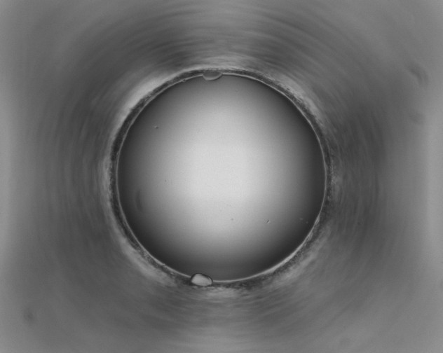 X0000112181085200908071321