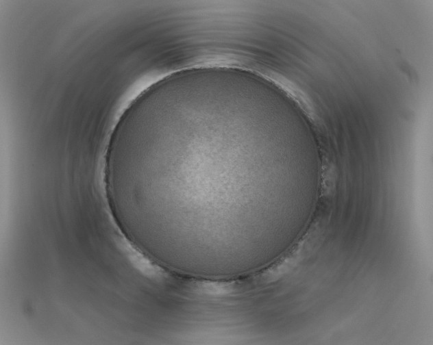 X0000112181086200908071321