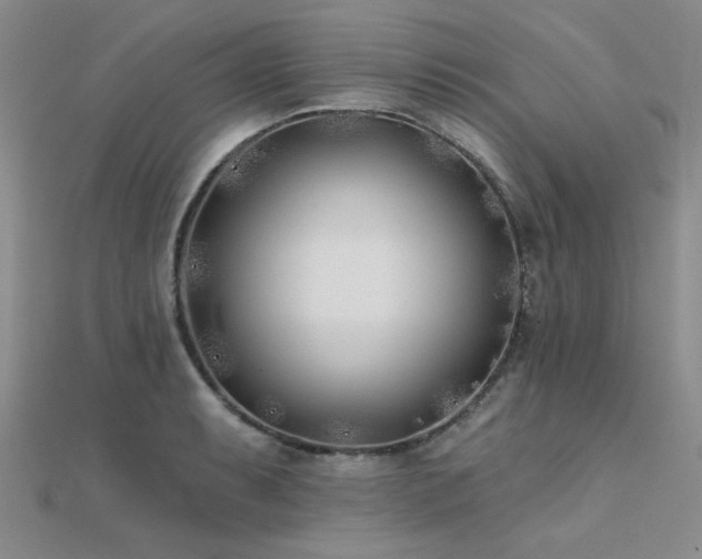 X0000112181087200908071321