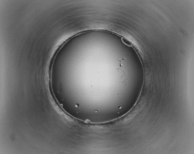 X0000112181088200908071321