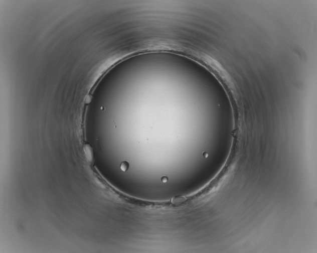 X0000112181089200908071321