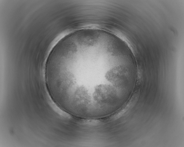 X0000112181090200908071321