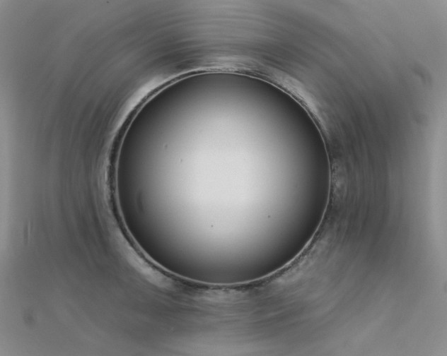 X0000112181091200908071321