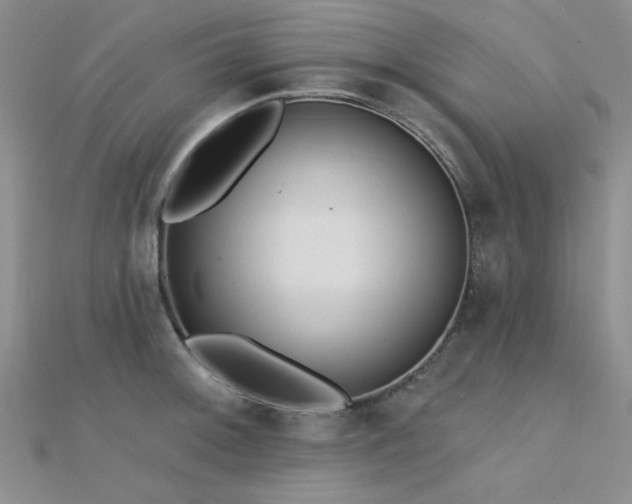 X0000112181092200908071321