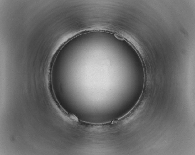 X0000112181093200908071321