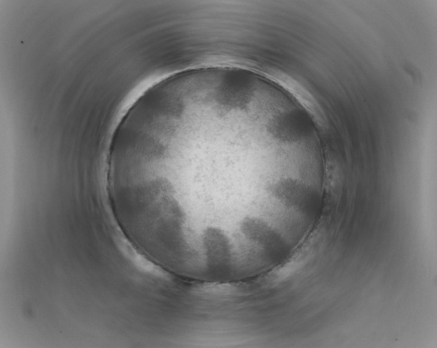 X0000112181094200908071321