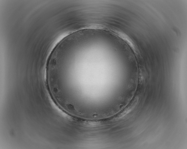 X0000112181095200908071321