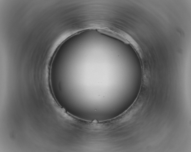 X0000112181096200908071321