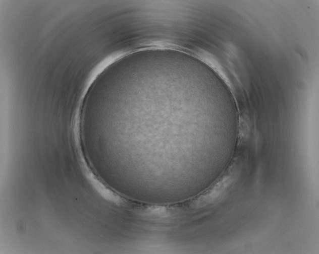 X0000112181098200908071321