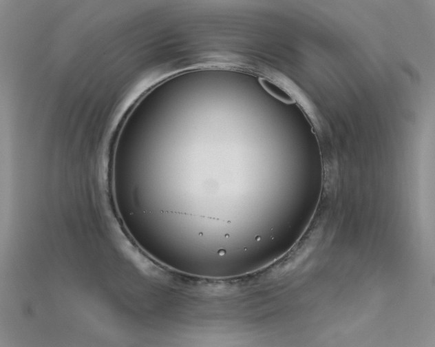 X0000112181099200908071321