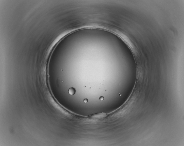 X0000112181100200908071321