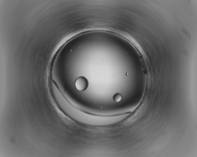 X0000112181101200908071321