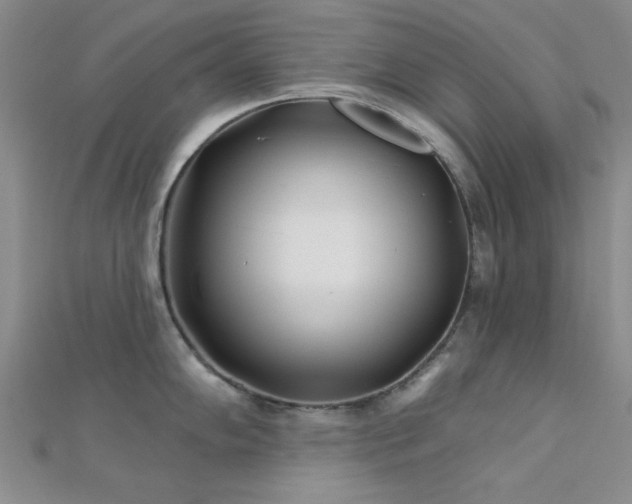 X0000112181102200908071321