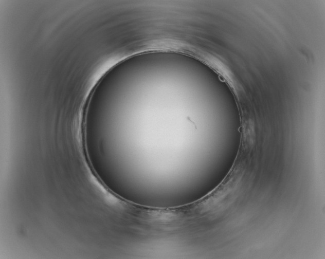 X0000112181103200908071321