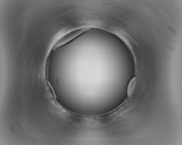 X0000112181104200908071321