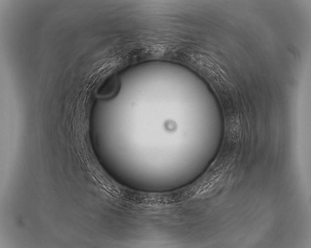 X0000112181105200908071320