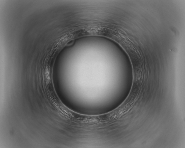 X0000112181106200908071320