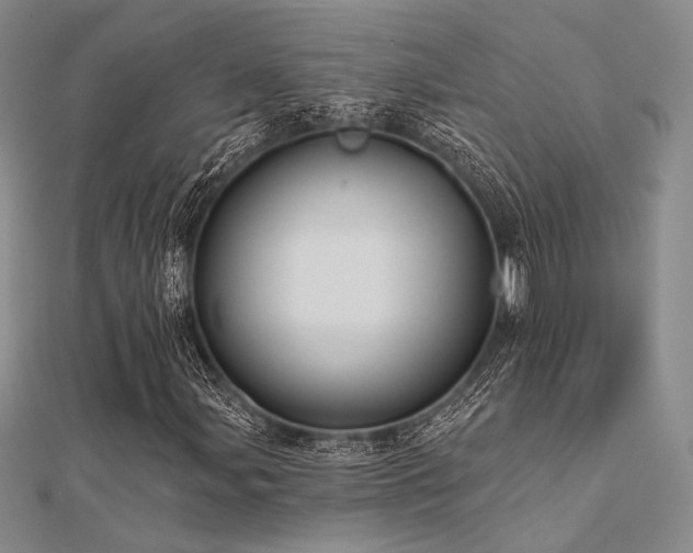 X0000112181107200908071320