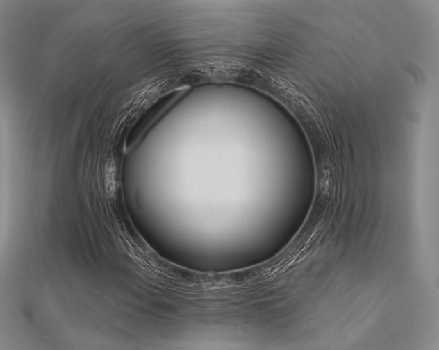 X0000112181108200908071320