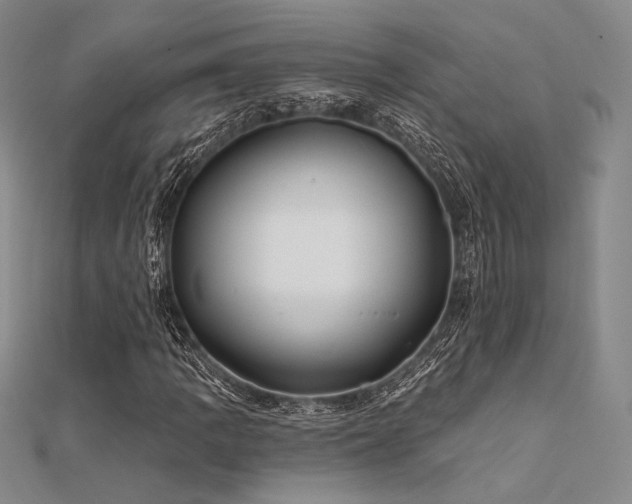 X0000112181109200908071320