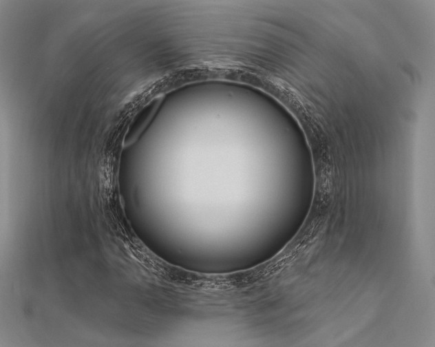 X0000112181110200908071320