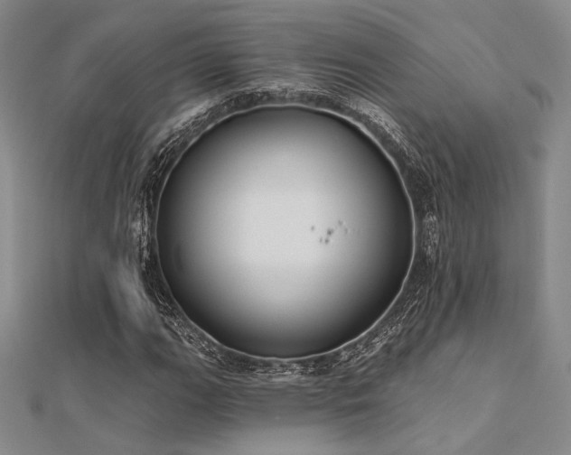 X0000112181111200908071320