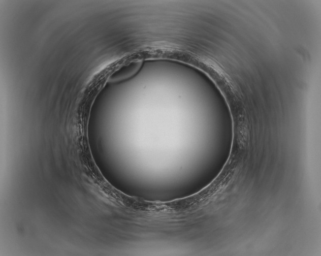 X0000112181112200908071320