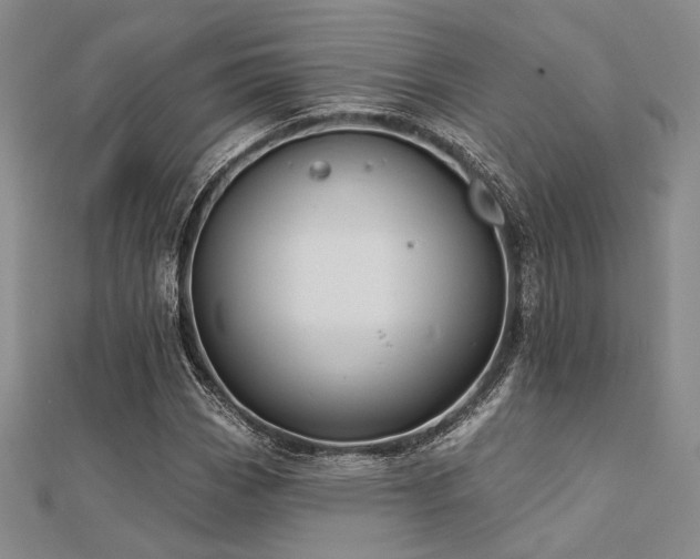 X0000112181113200908071320