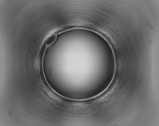 X0000112181114200908071320