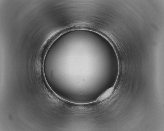 X0000112181115200908071320