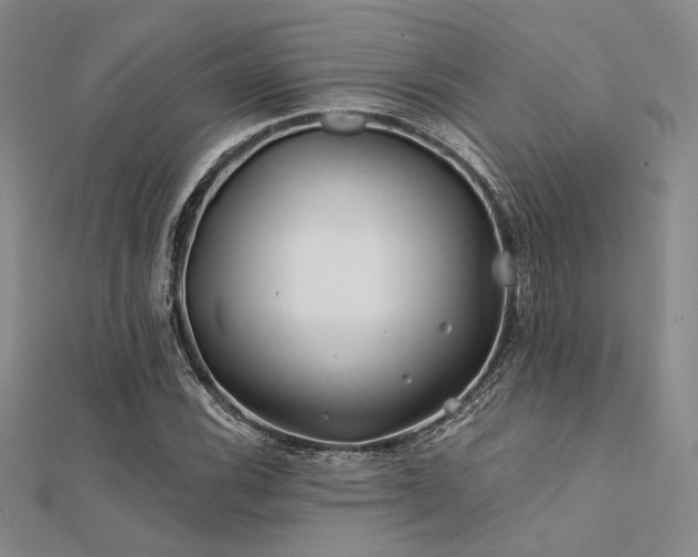 X0000112181116200908071320