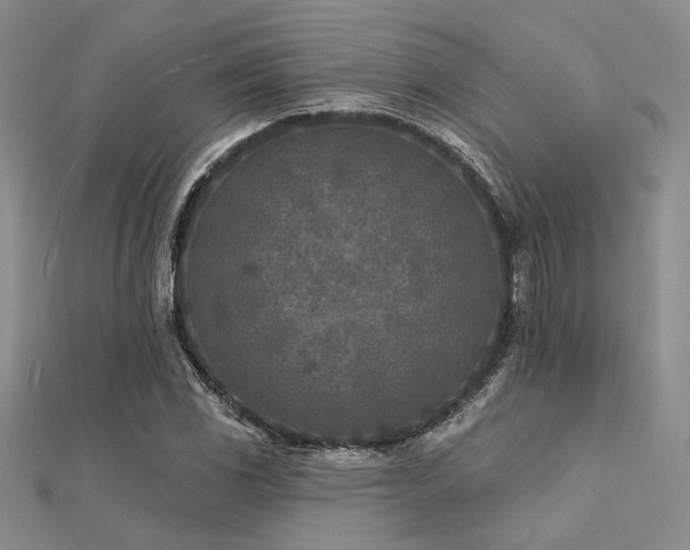 X0000112181117200908071320