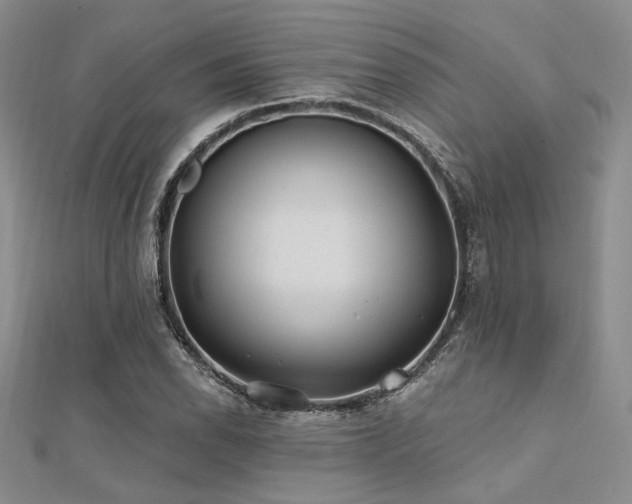 X0000112181118200908071320