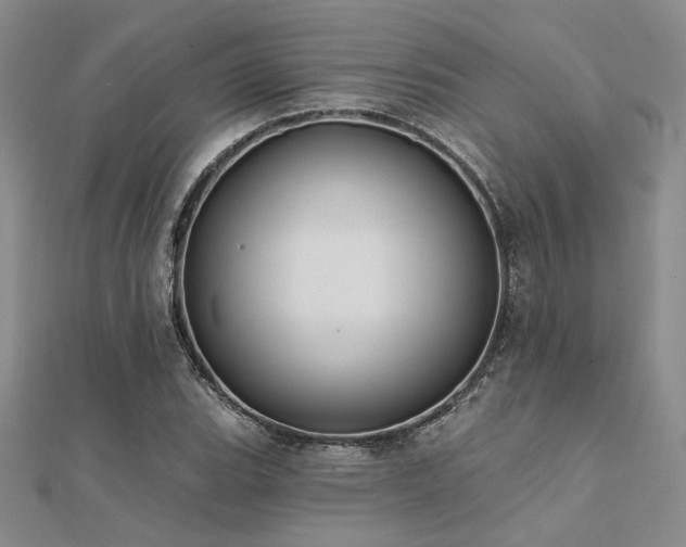 X0000112181119200908071320