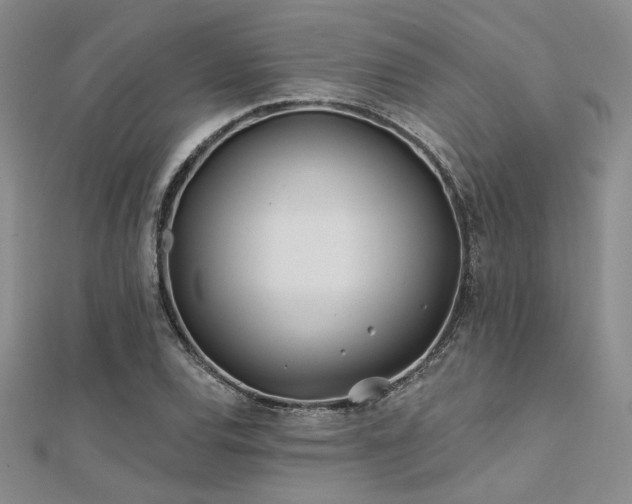 X0000112181120200908071320