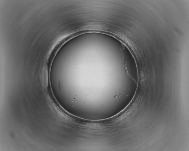 X0000112181123200908071320