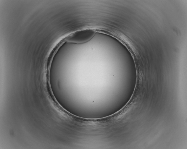 X0000112181124200908071320