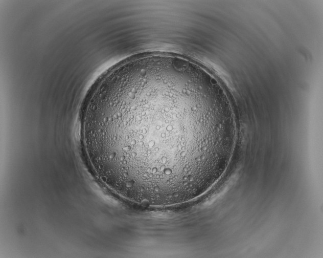 X0000112181125200908071320