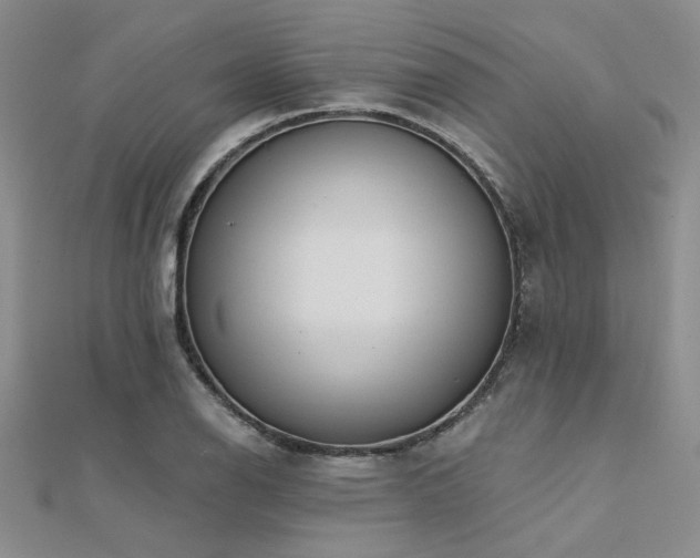 X0000112181126200908071320